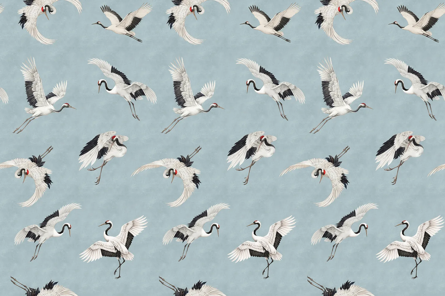 Cranes 1