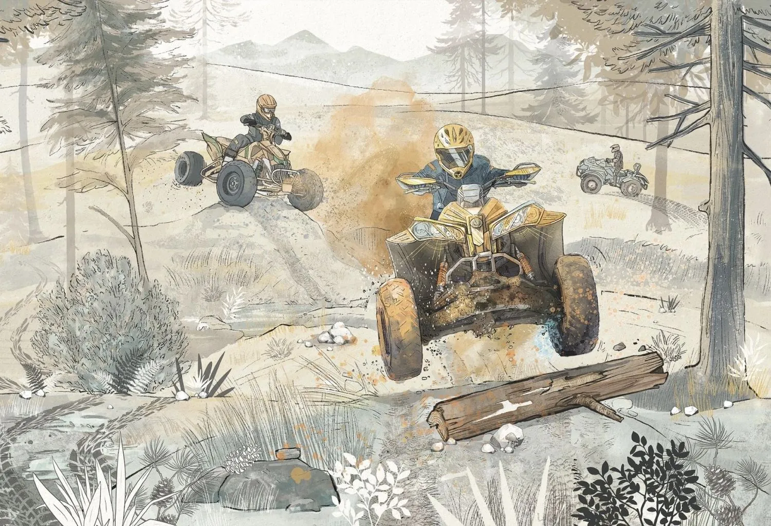 Quad Road 3