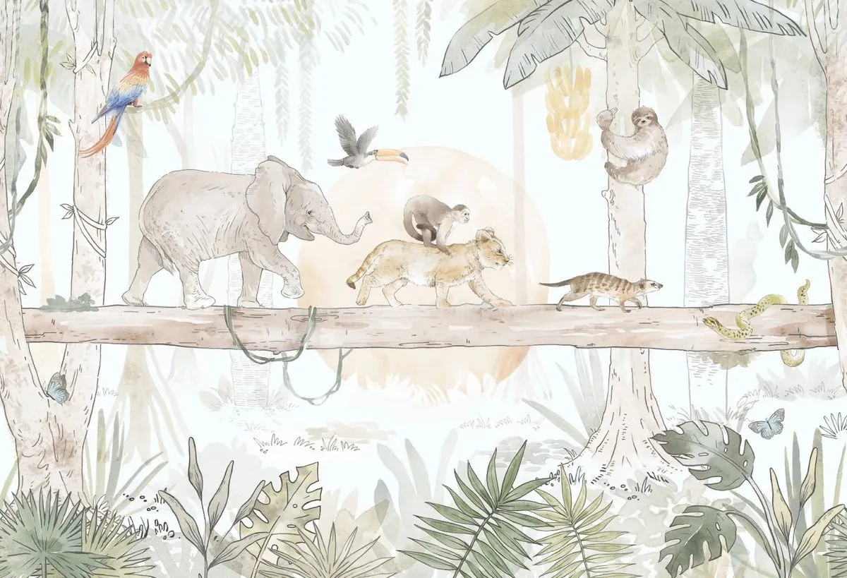 Safari 2