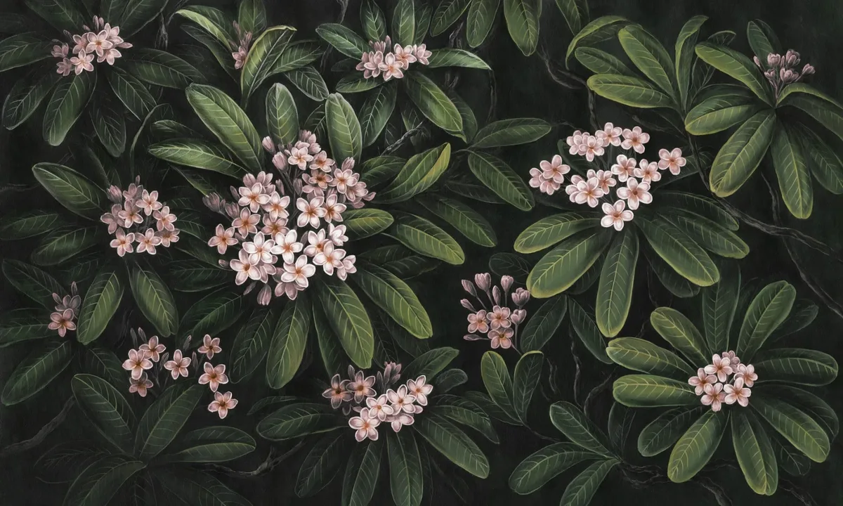 Frangipani 1