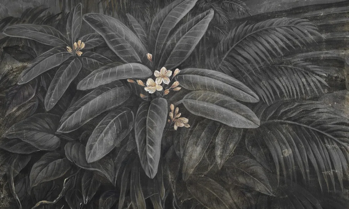 Gloom bloom 1