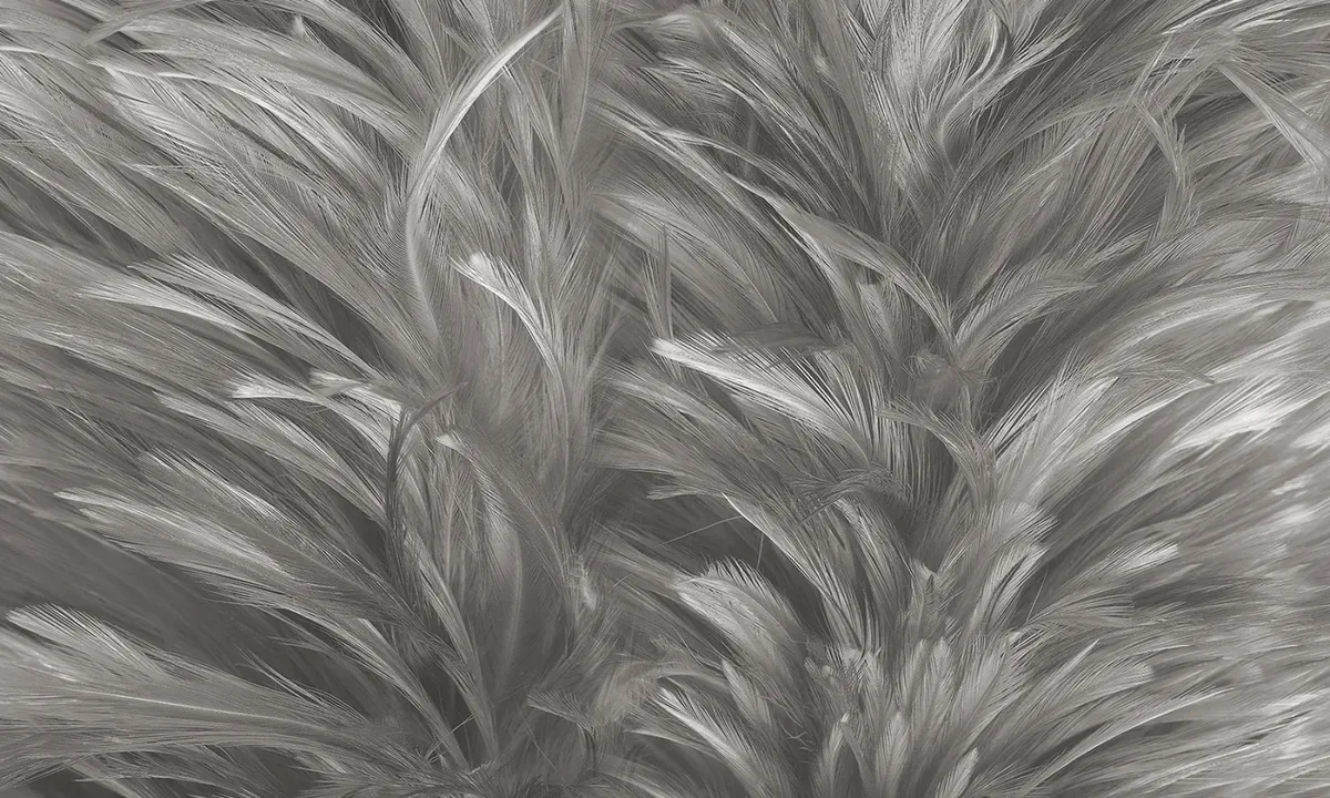 Soft touch 1