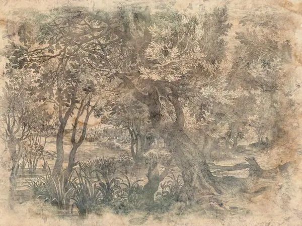 31
