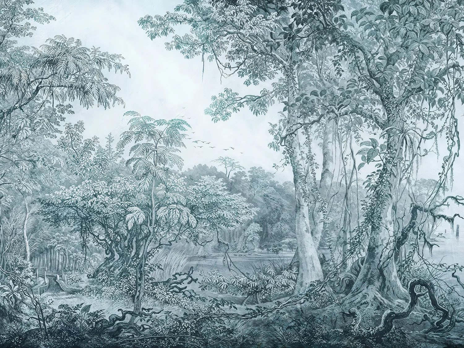 Foresta 1