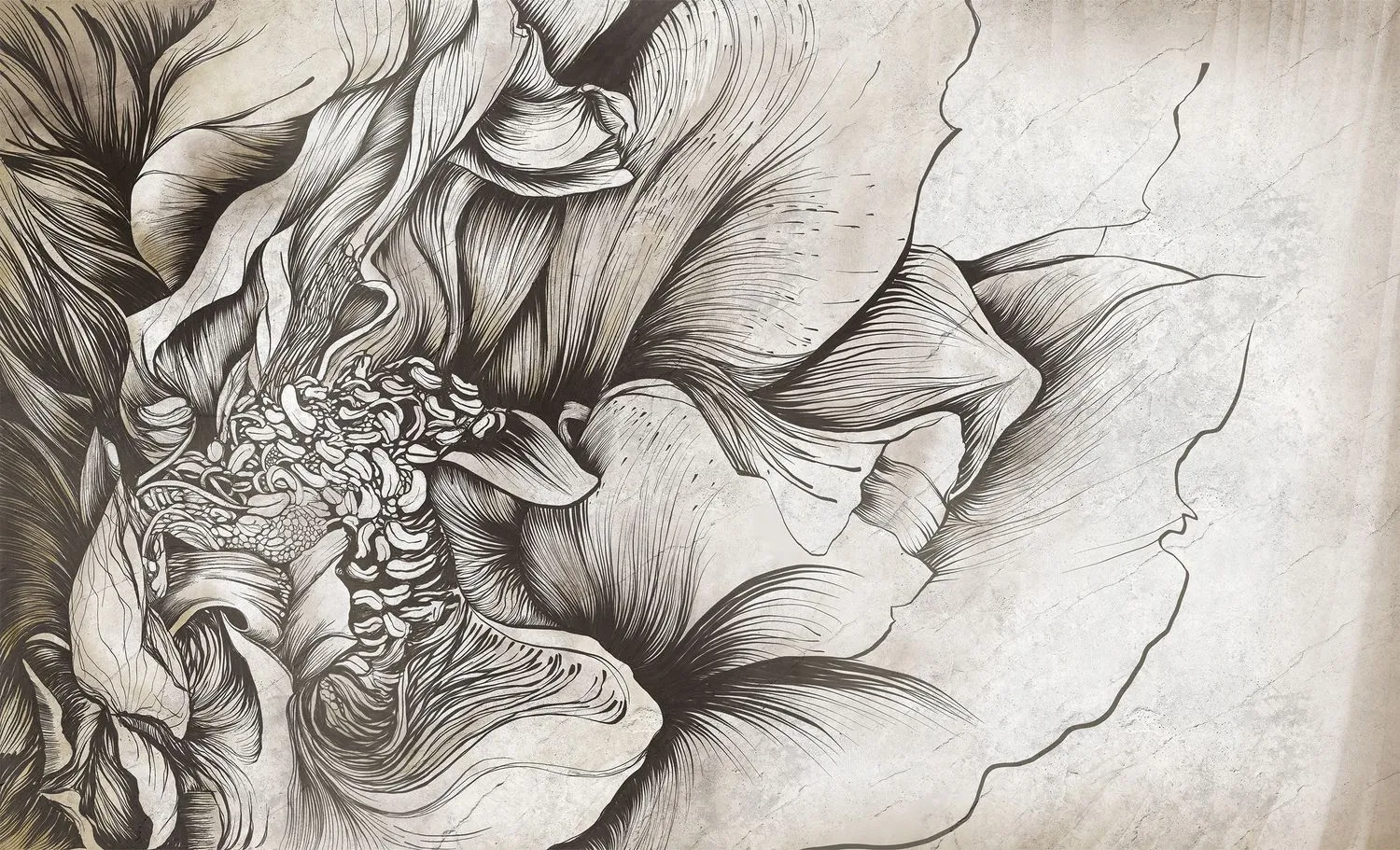 Bloom 6