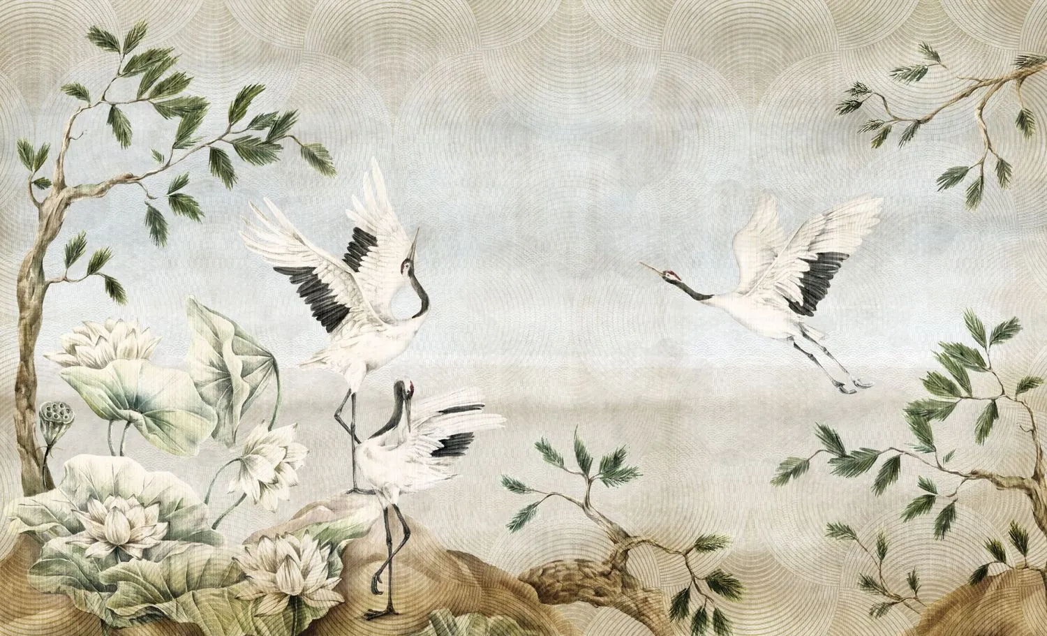 Hanami 5