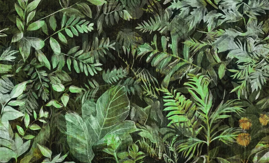 Ivy 3