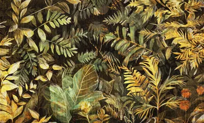 24A