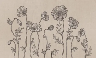 Poppy
