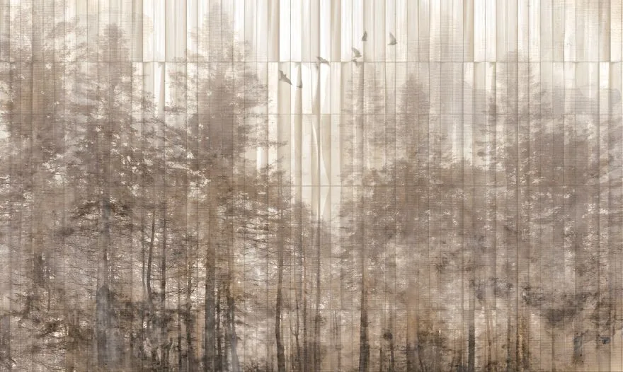 Taiga 2