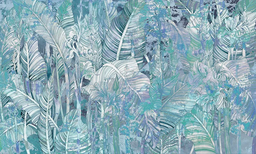 Canna 3