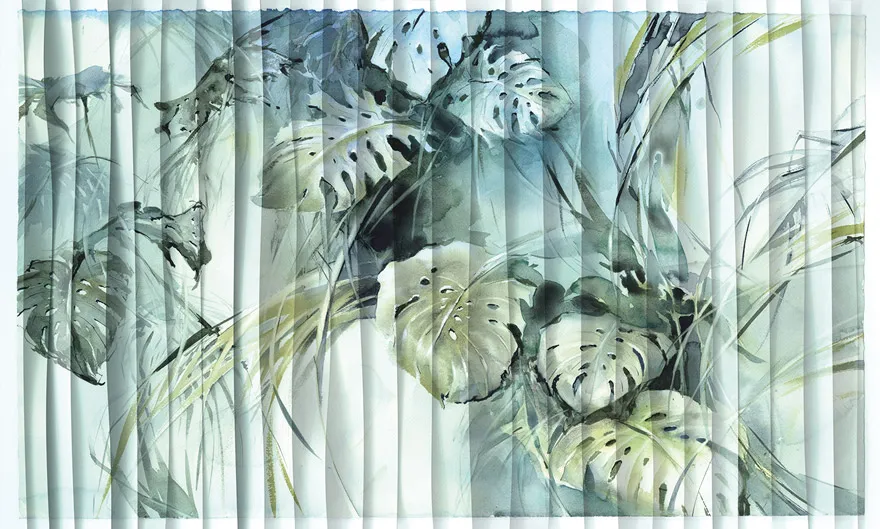 Monstera 3
